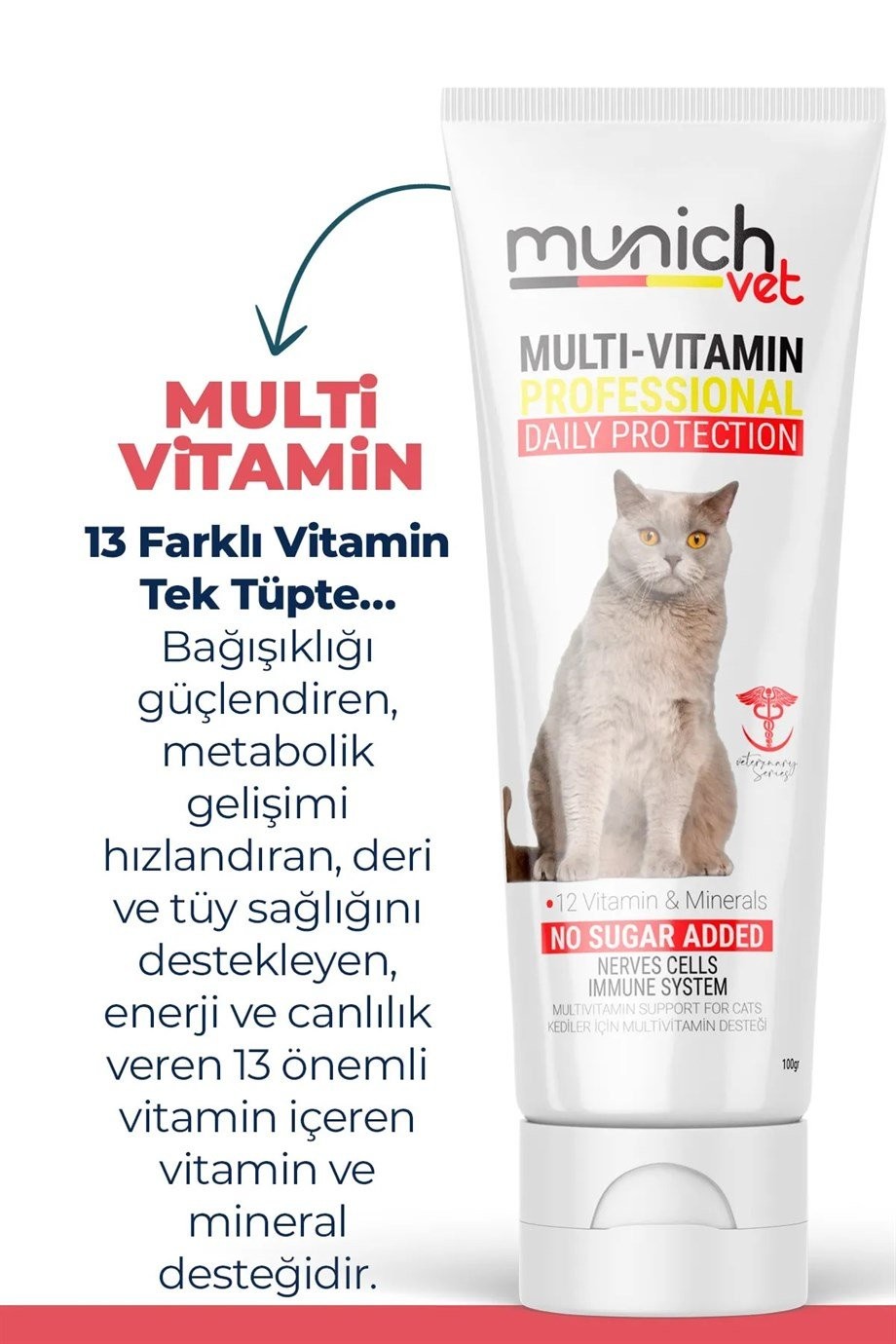 Kedi 3 Lü Bakım Seti