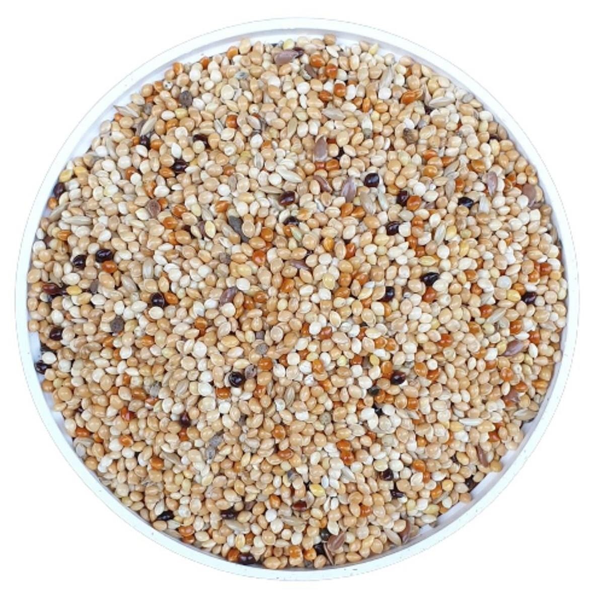 Vivid Bird Karışık Muhabbet Kuşu Yemi 2 Kg