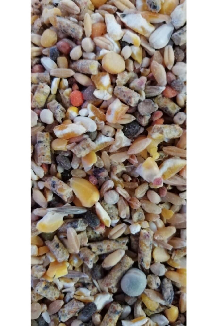 14 Çeşit Gezen Tavuk Karma Yemi 5 Kg