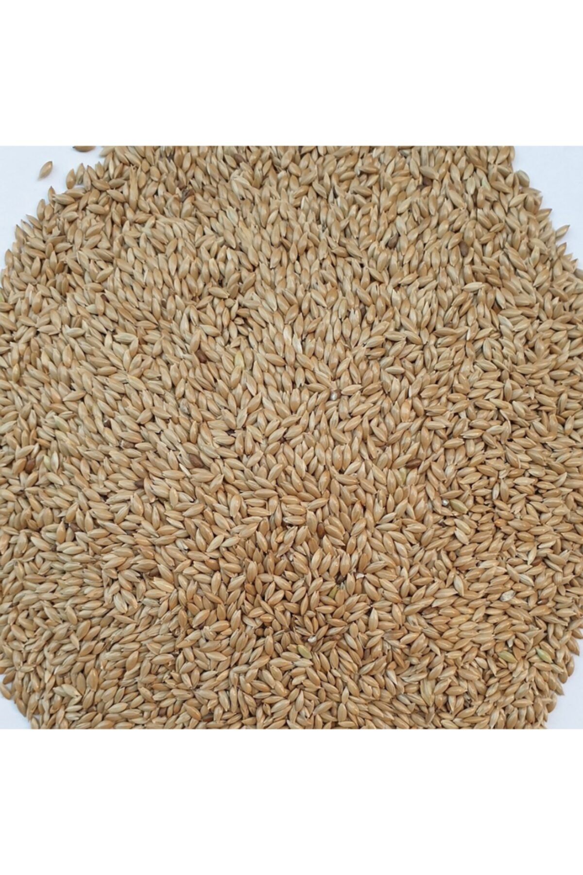 Sade Kanarya Yemi 10kg