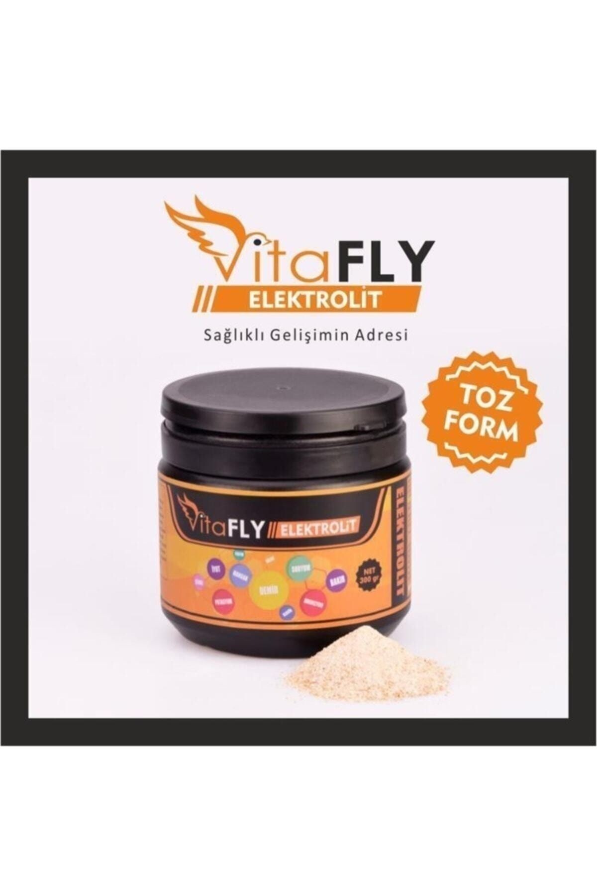 Vitafly Elektrolit 300 Gr