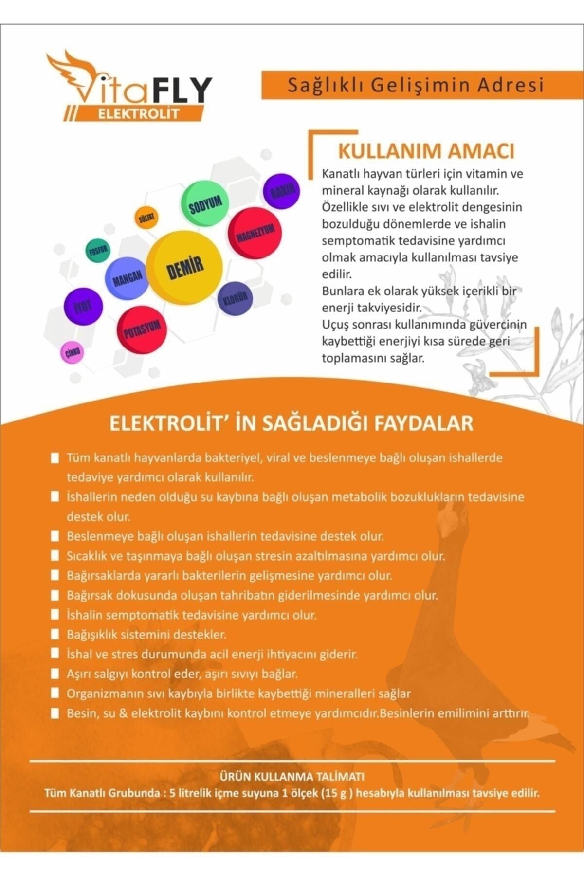 Vitafly Elektrolit 300 Gr