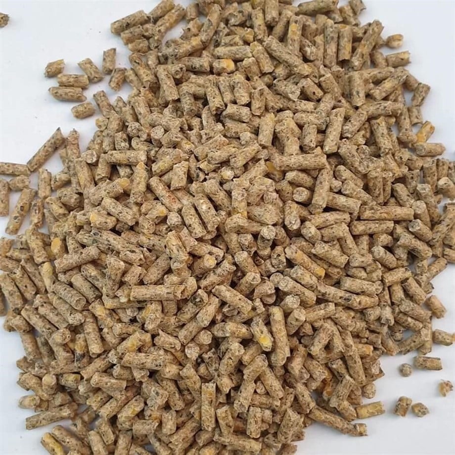 Tavuk Yumurta Yemi Palet 10Kg