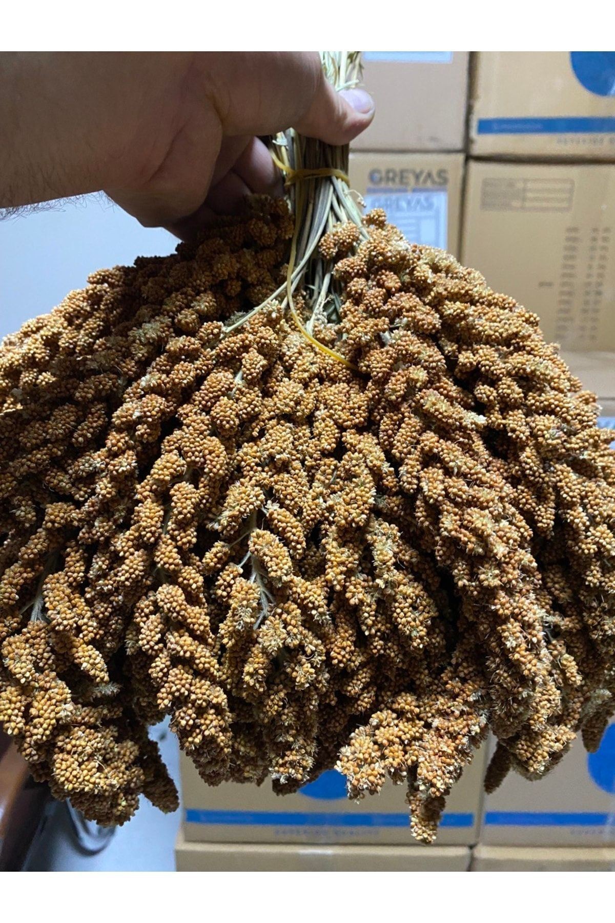 Doğal Dal Darı (ÖZEL HAZIRLANMISTIR) 1 Kg