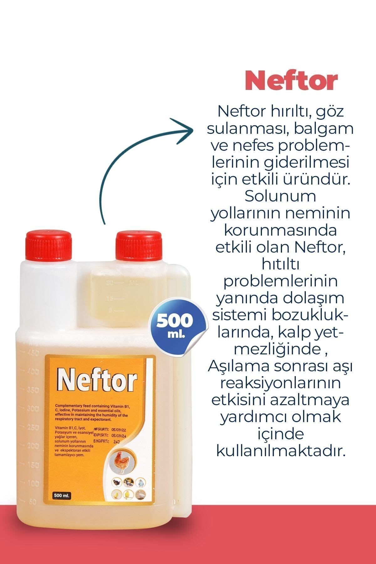 2li Set Kuşlar Alfamin Ishal + Neftor Hırıltı Seti (500 Ml)