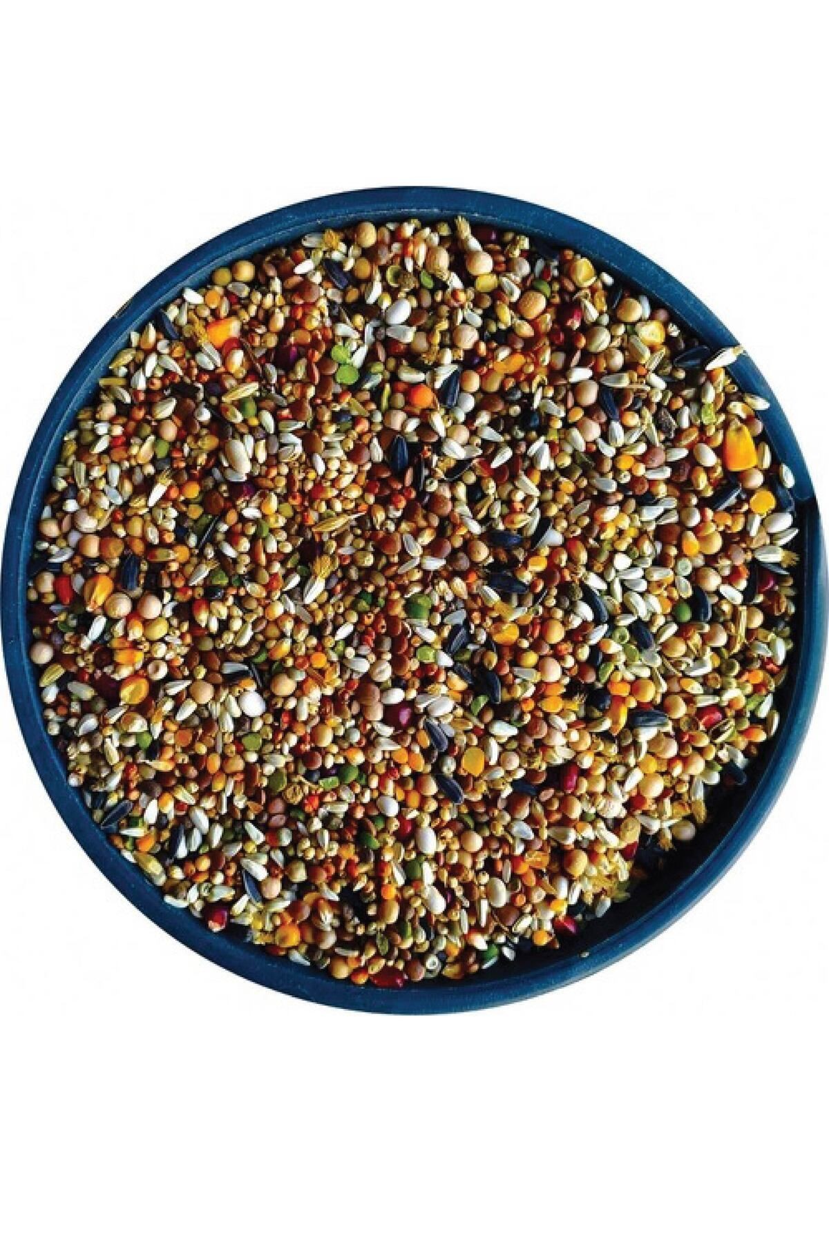 Özel Buğdaysız Lüks Karışık Güvercin Yemi 10 Kg (11 çeşit Yem)
