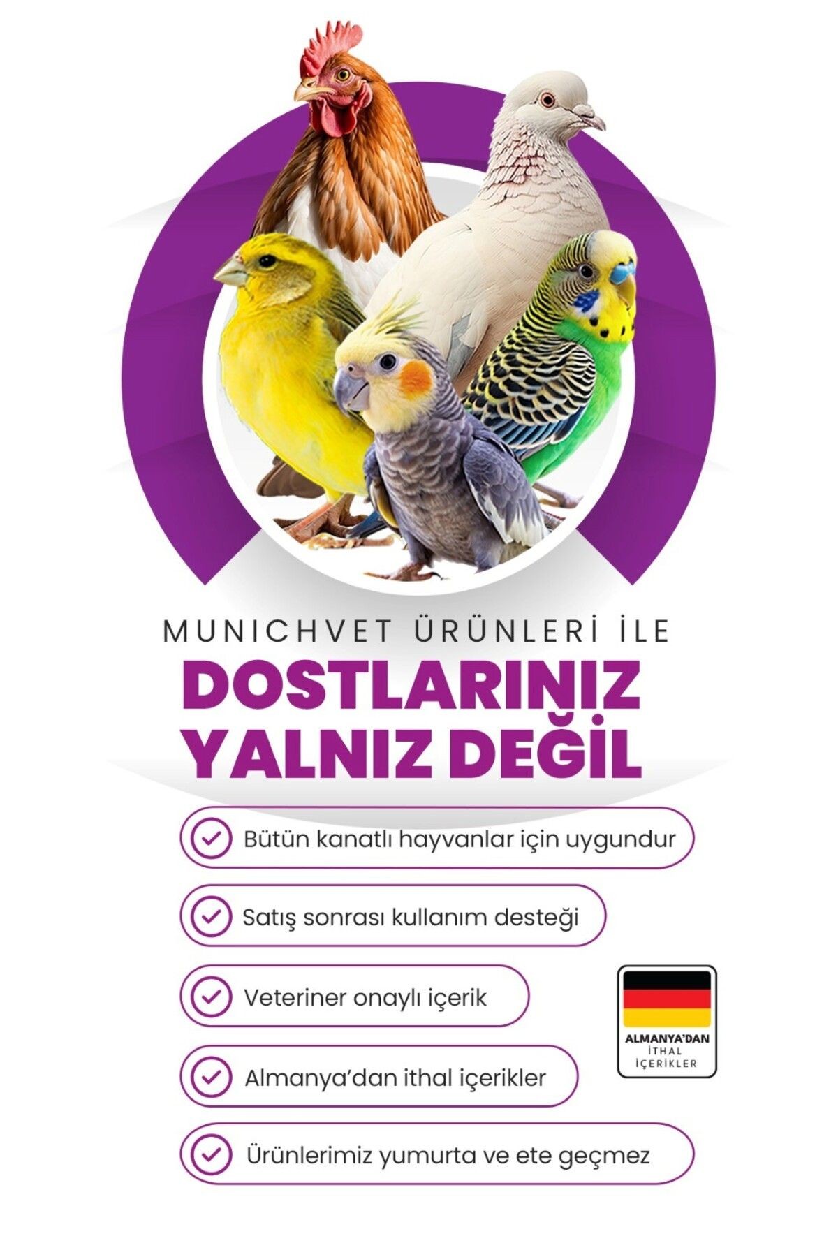 Mama Mix Kafes Kuşları Için Nemli Tam Yağlı Mama 1 Kg