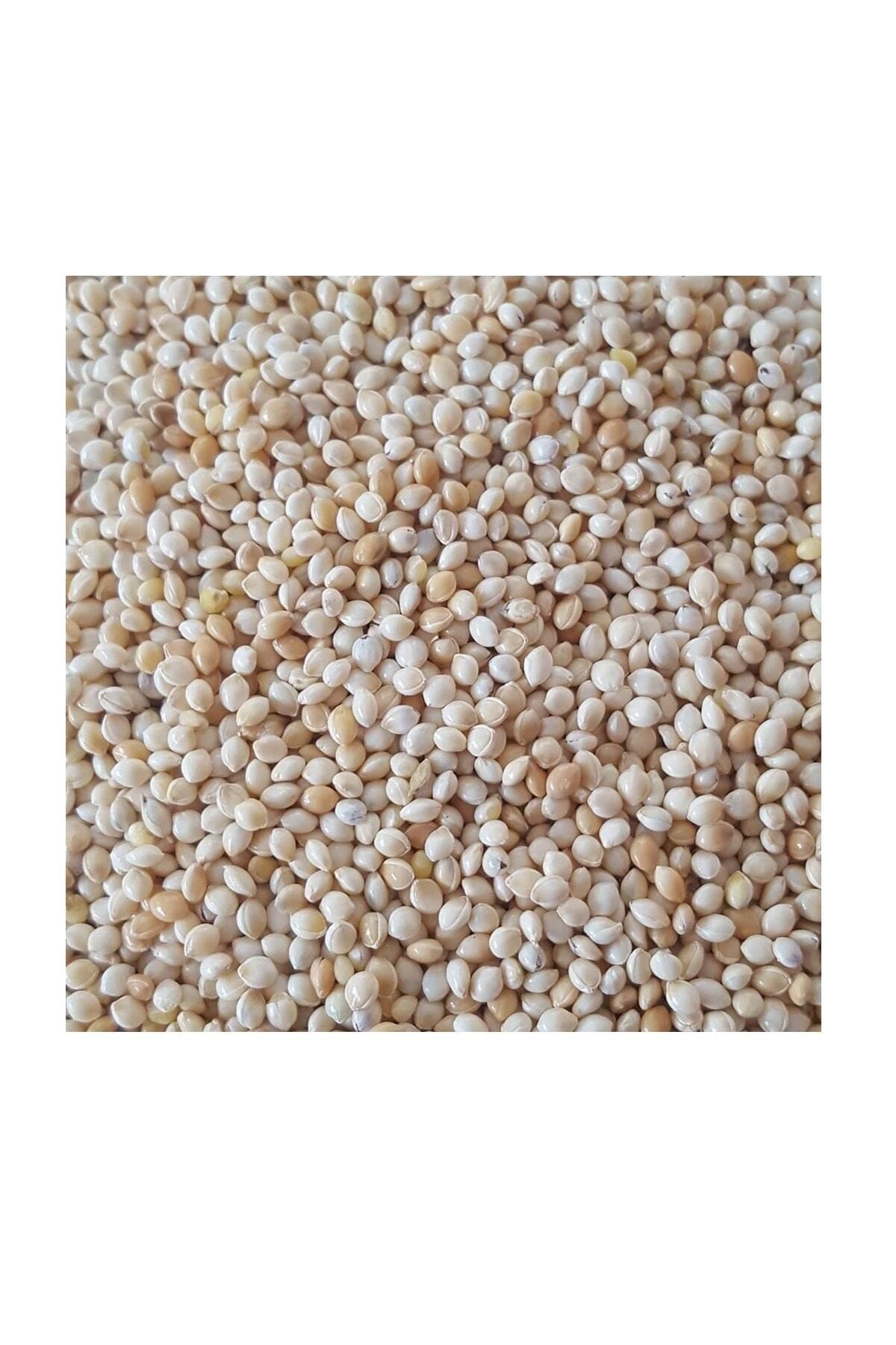 10kg Ak Darı- Muhabbet Kuşu-papağan Yemi