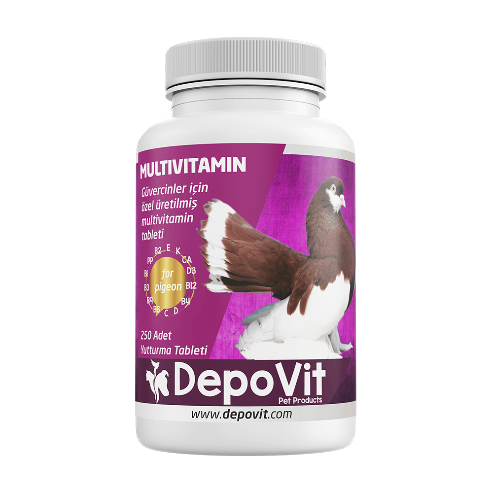 Depovit Enerji ,Vitamin Desteği Multivitamin Tablet 250li