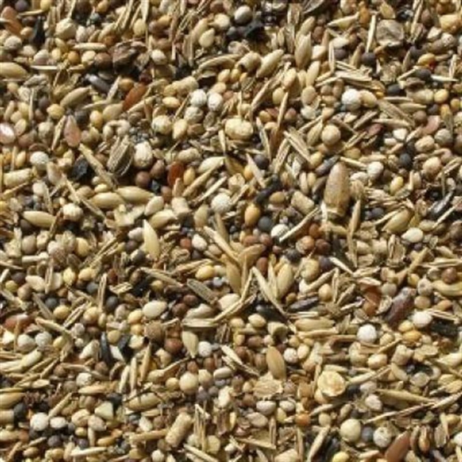 Profosyonel İçerikli Özel Saka Ve Doğa Kuşu Yemi 5Kg