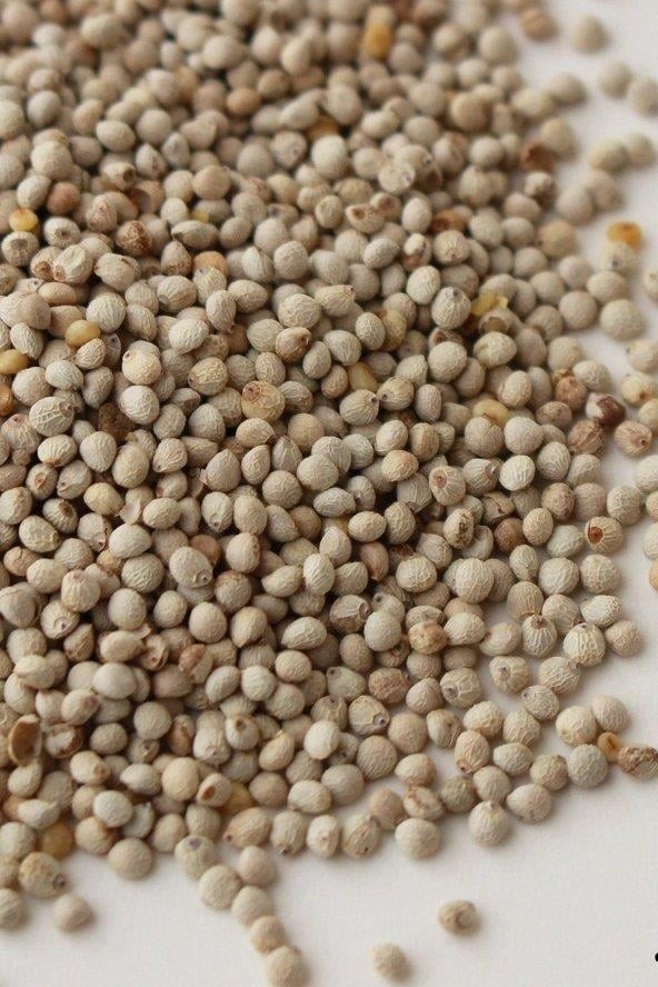 Beyaz Perilla Tohumu 250 gr | Kuşlar İçin Omega-3 Kaynağı