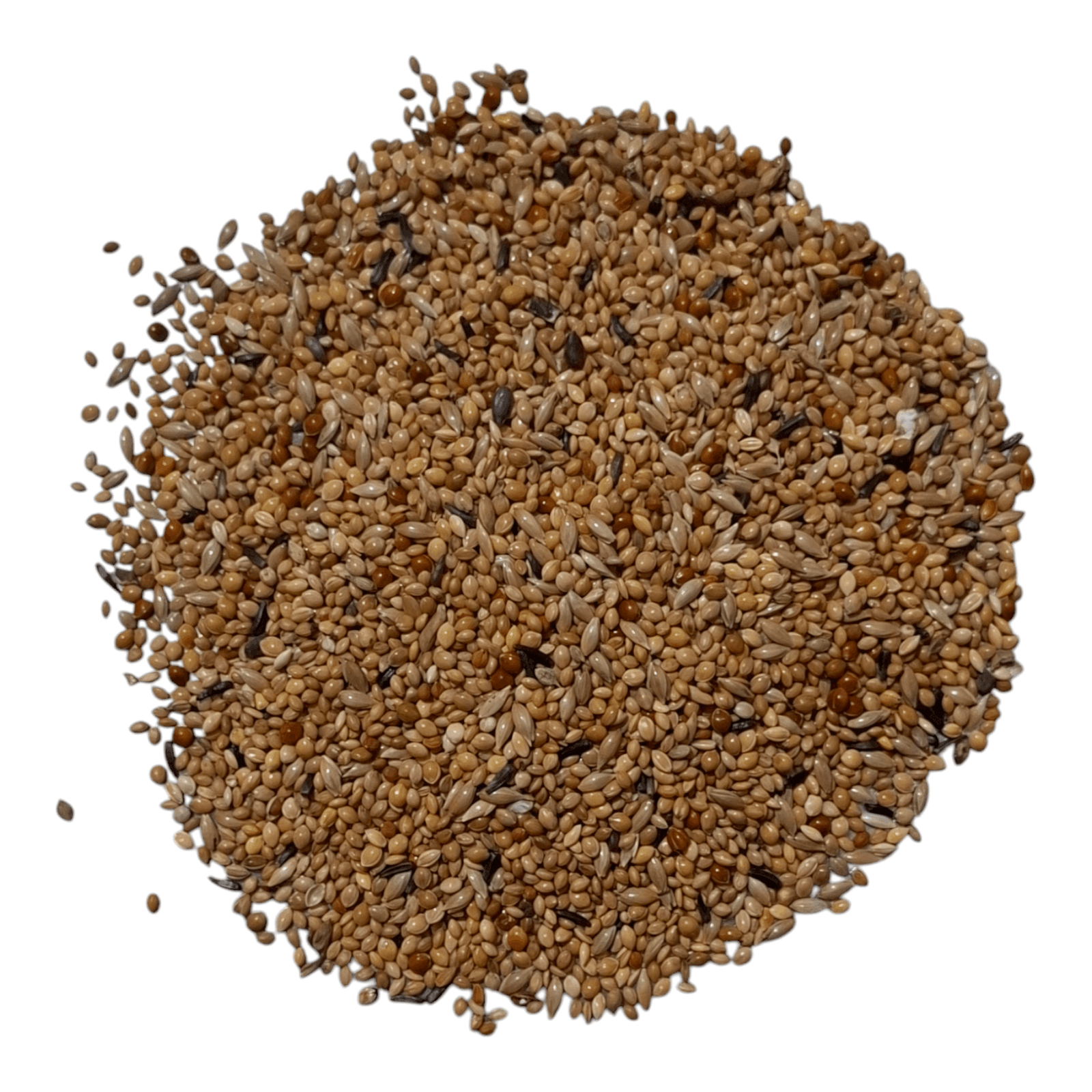 Vivid Bird Tropikal Finch Yemi - 5 Kg