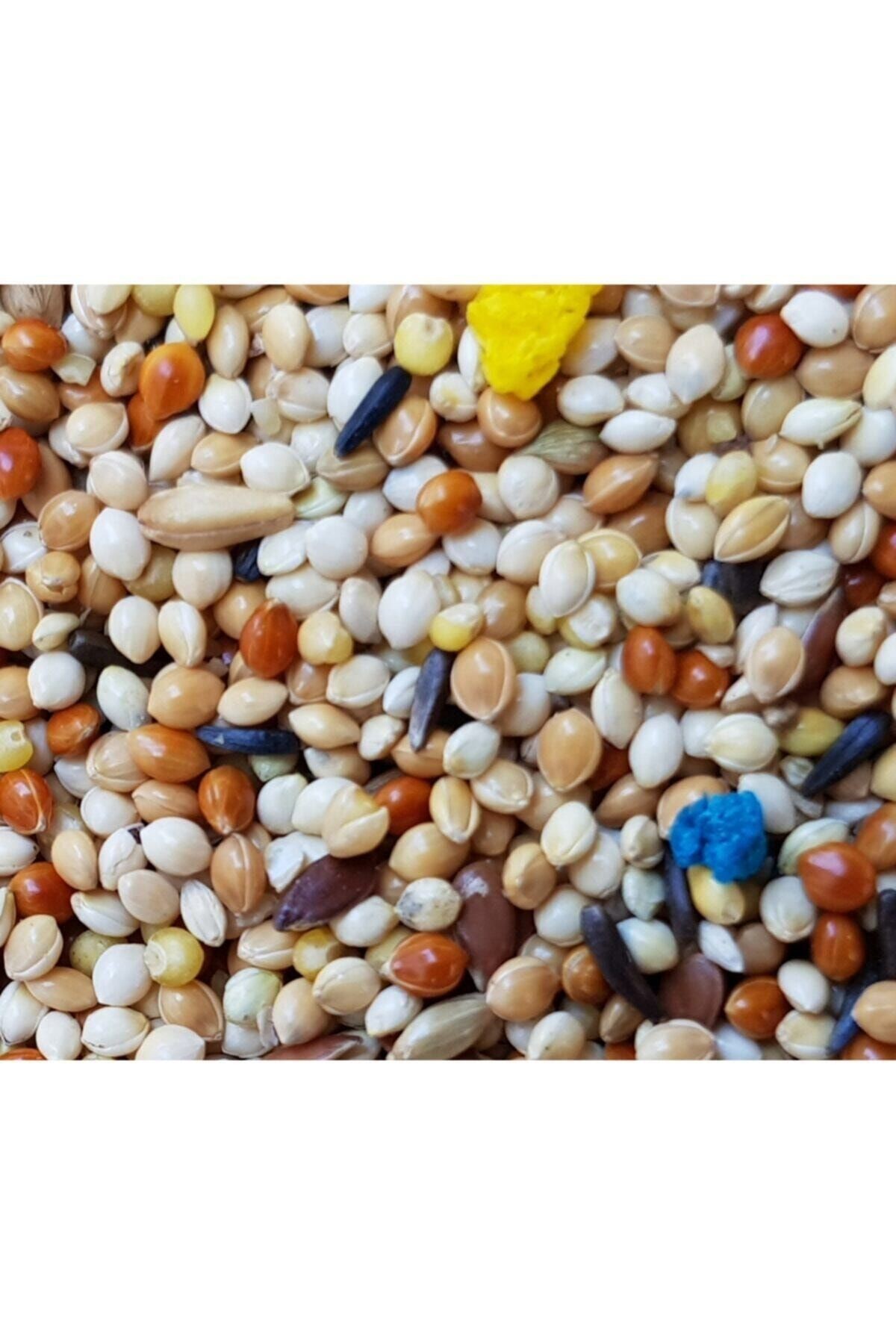 5kg Karışık Muhabbet Kuşu Yemi Meyveli