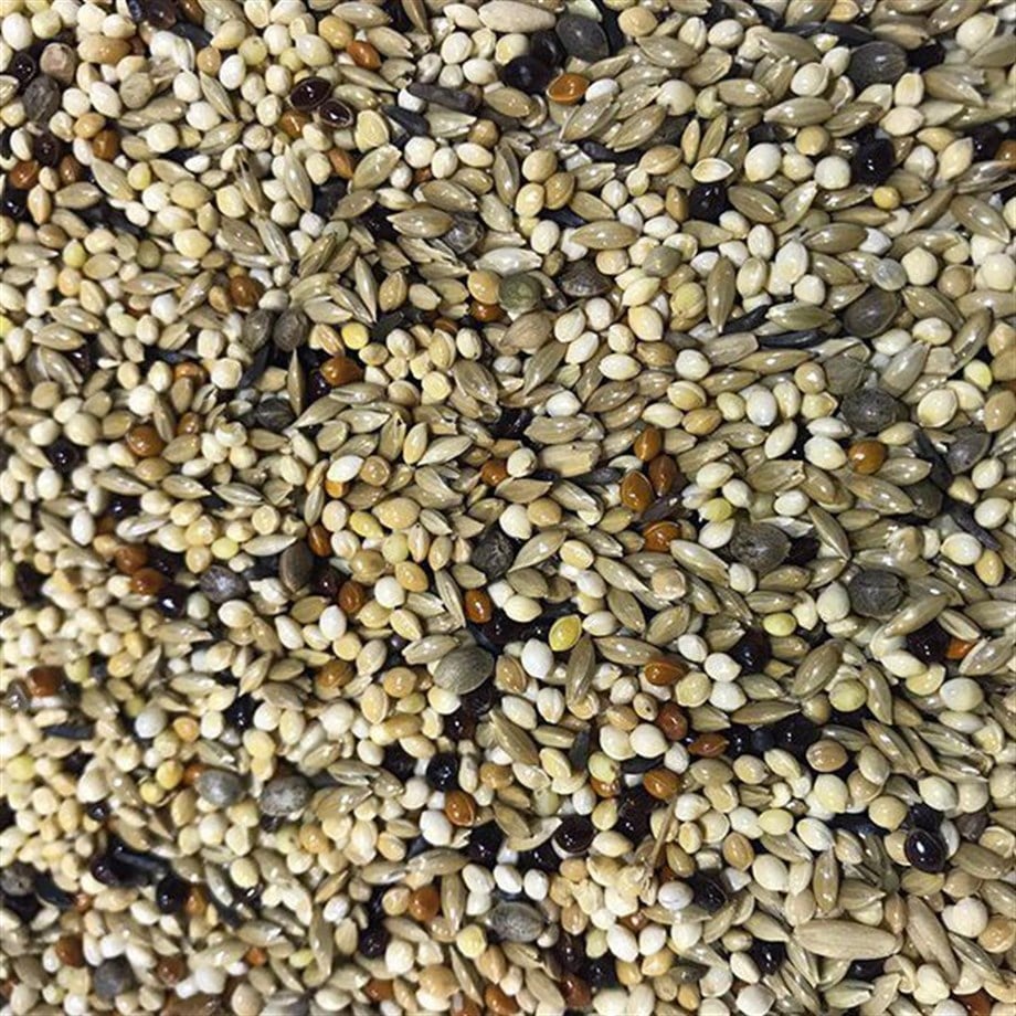 Hint Bülbülü Yemi 5Kg – Doğal ve Dengeli Beslenme