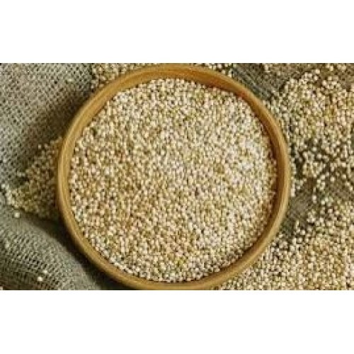 Ak Darı 10 Kg | Muhabbet Kuşu Yemi – Doğal ve Ekonomik Kuş Yemi
