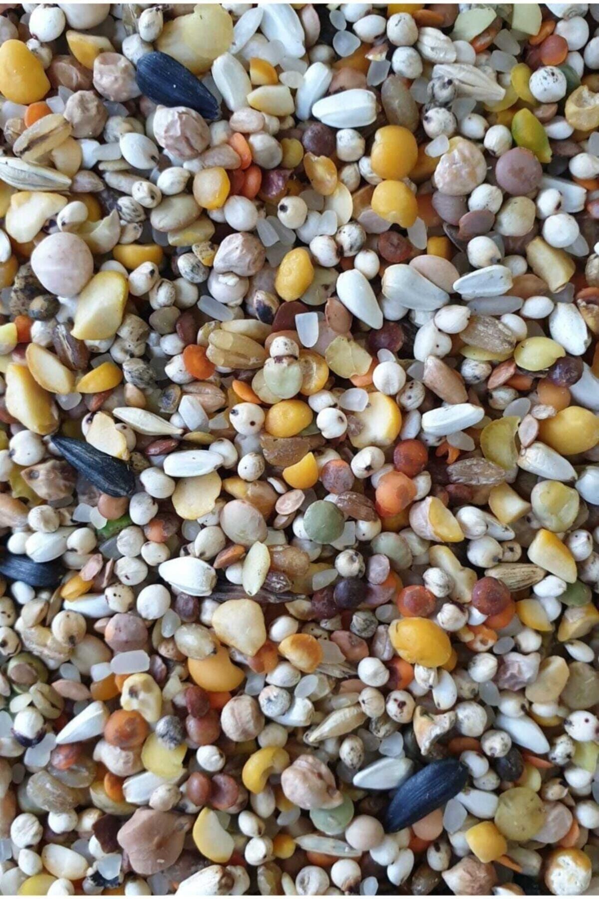 Karışık Güvercin Yemi Ekonomik - 10kg