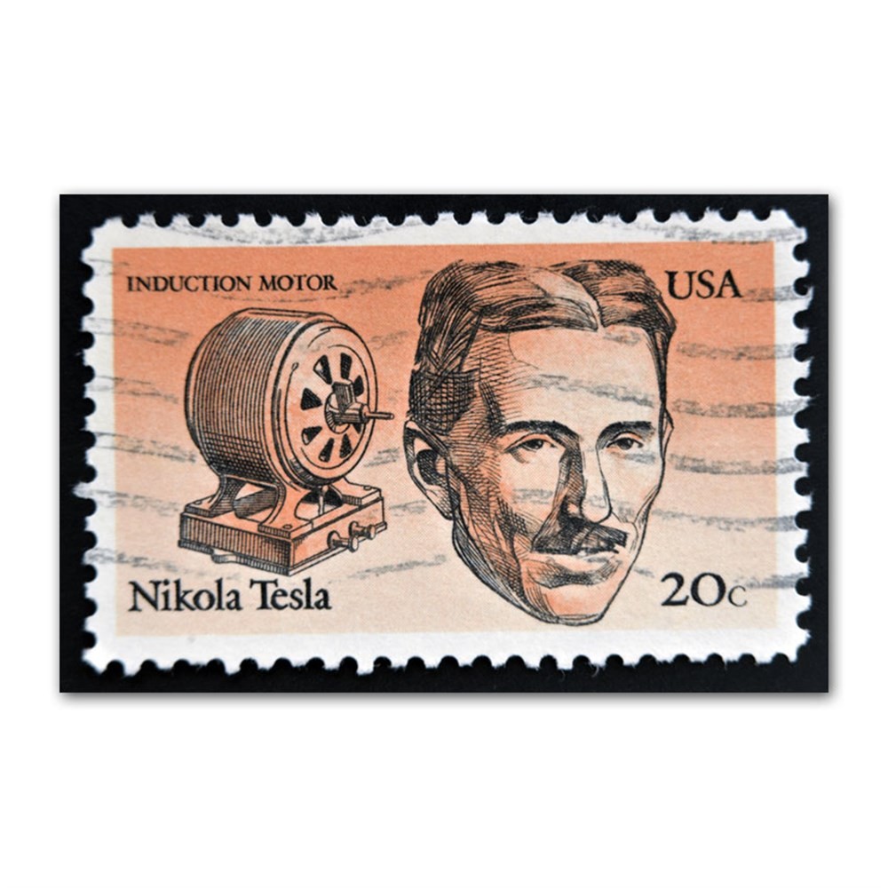 Nikola Tesla Pulu Kanvas Tablo