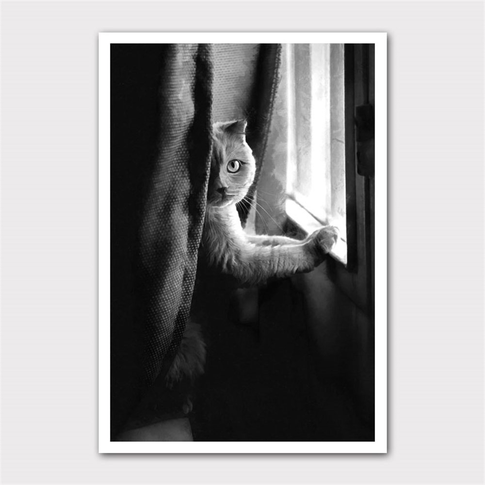 Camdan Dışarıya Bakan Kedi Kanvas Tablo