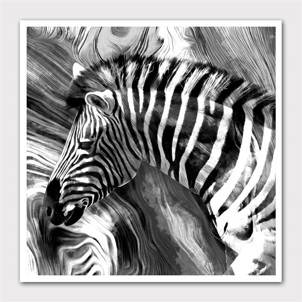 Renksiz Baskı Zebra Kanvas Tablo