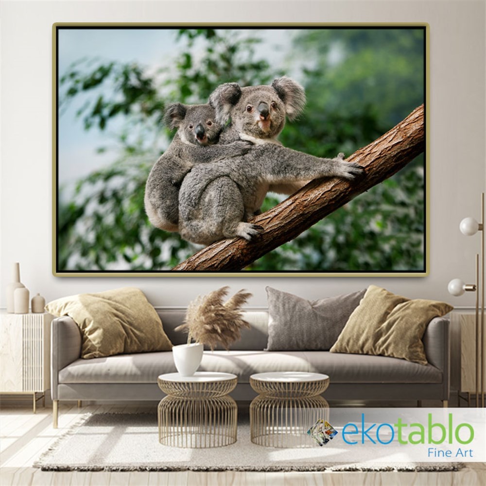 Yavrusunu Taşıyan Koala Kanvas Tablo