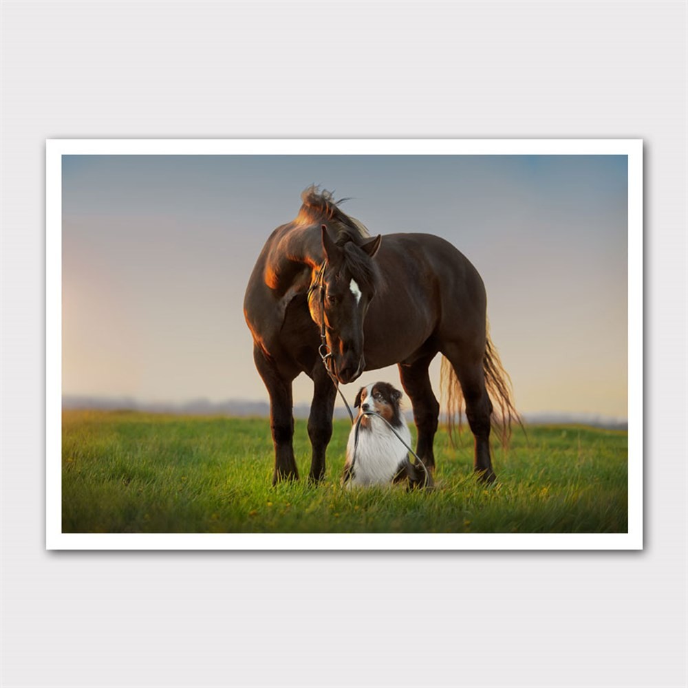 At ve Köpeğin Dostluğu Kanvas Tablo
