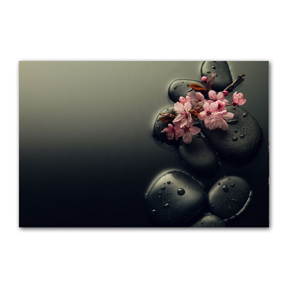 Siyah Antrasit Taşlar ve Çiçek Kanvas Tablo