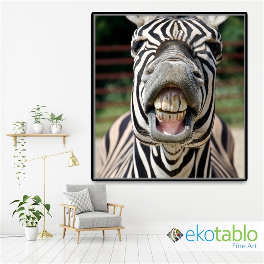 Diş Gösteren Zebra Kanvas Tablo