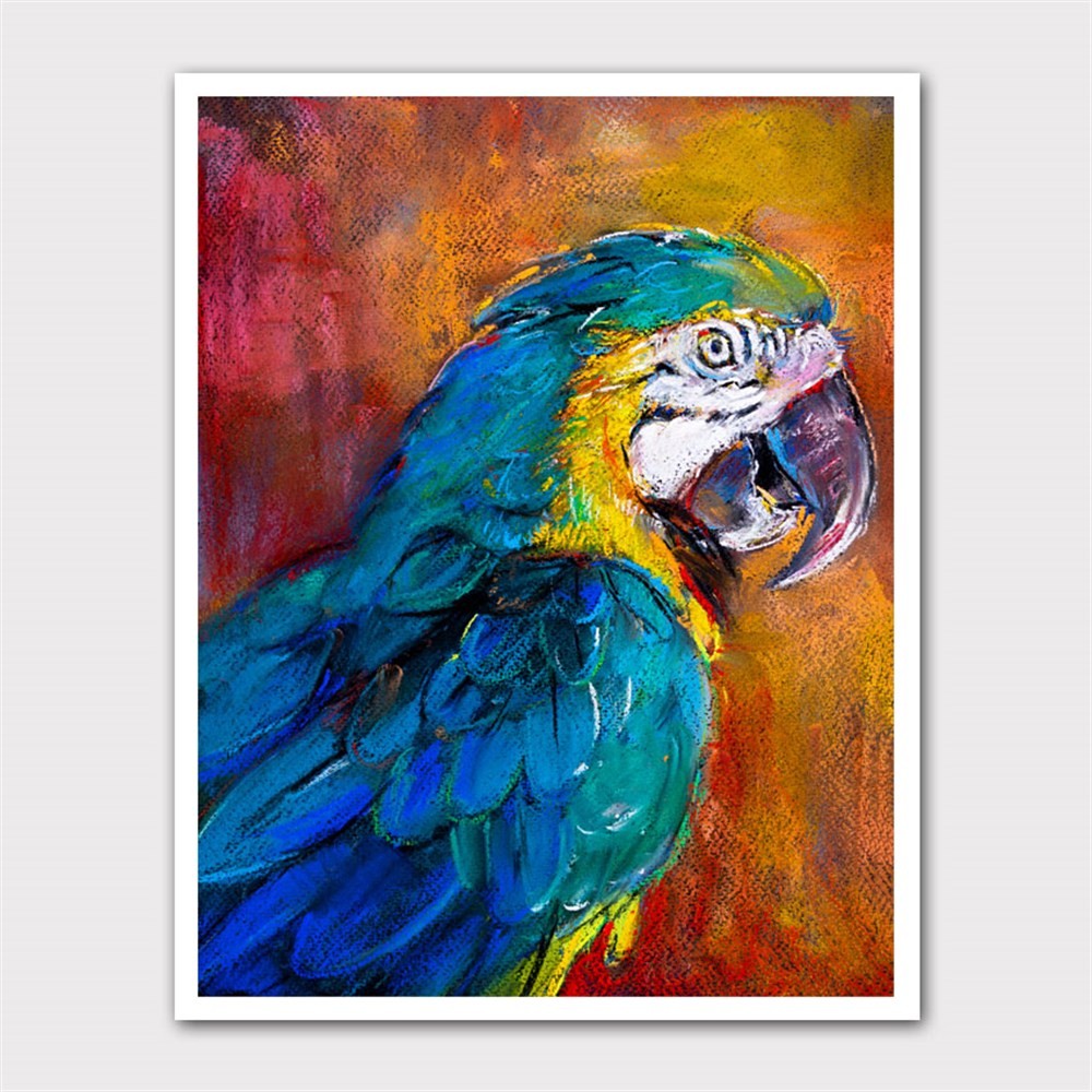 Pastel Efektli Renkli Papağan Kanvas Tablo