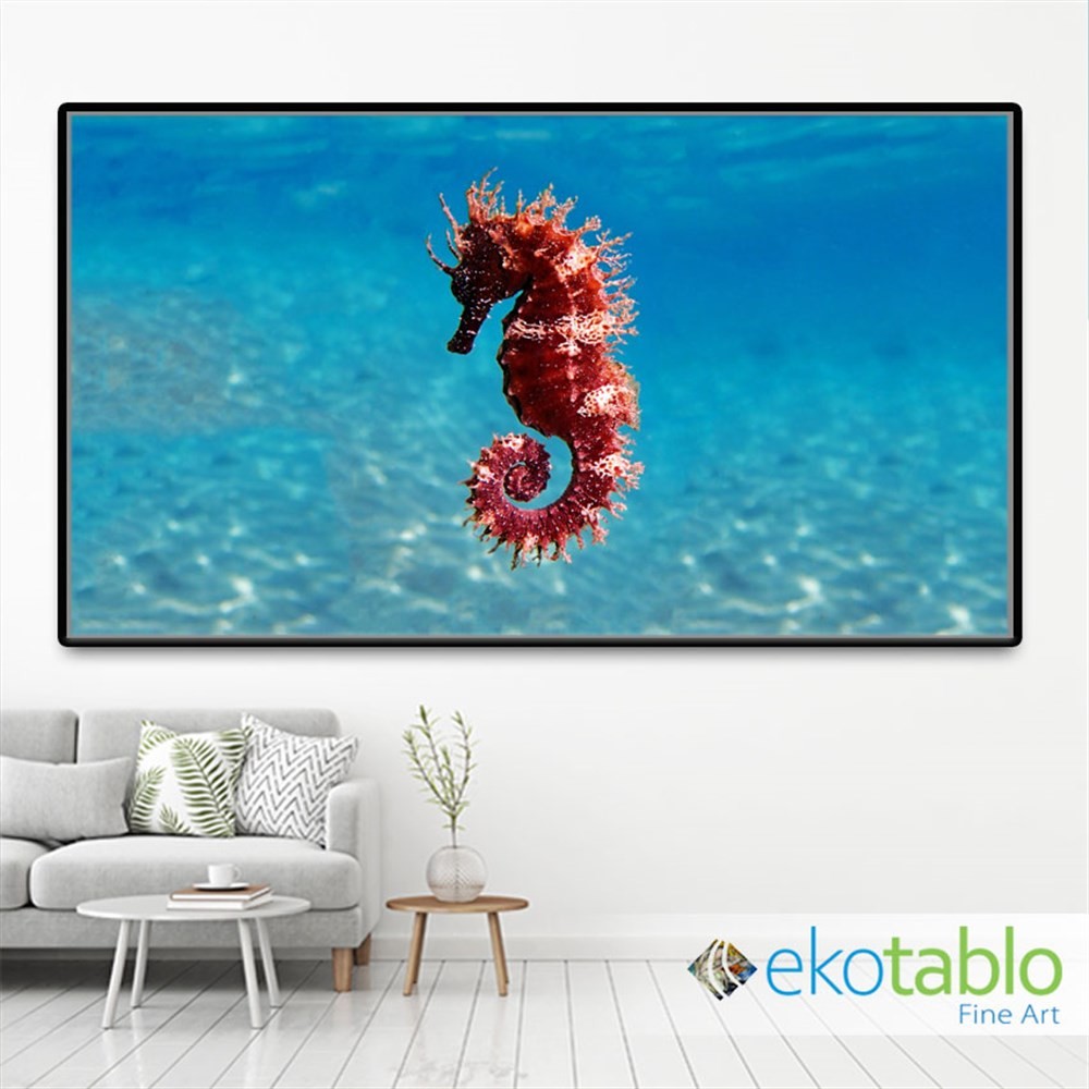 Kırmızı Renkli Denizatı Kanvas Tablo main variant image