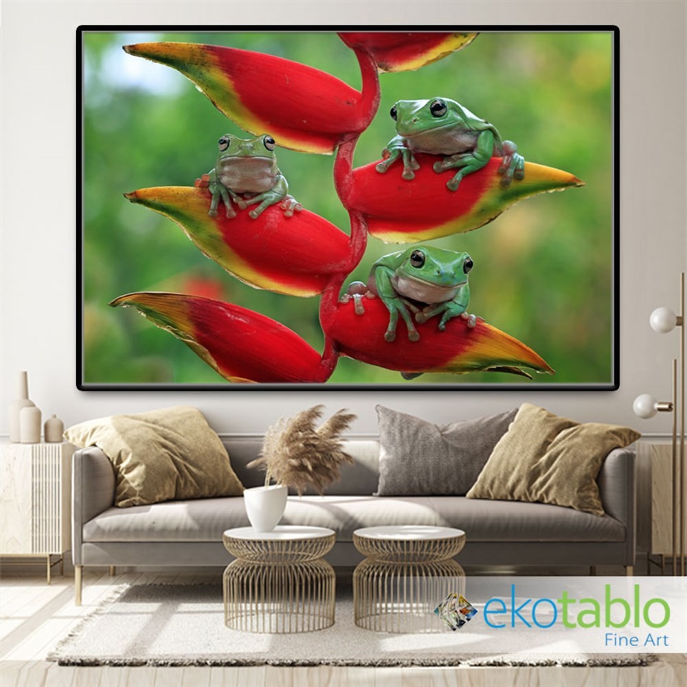 Kırmızı Bitkide Yeşil Kurbağalar Kanvas Tablo main variant image