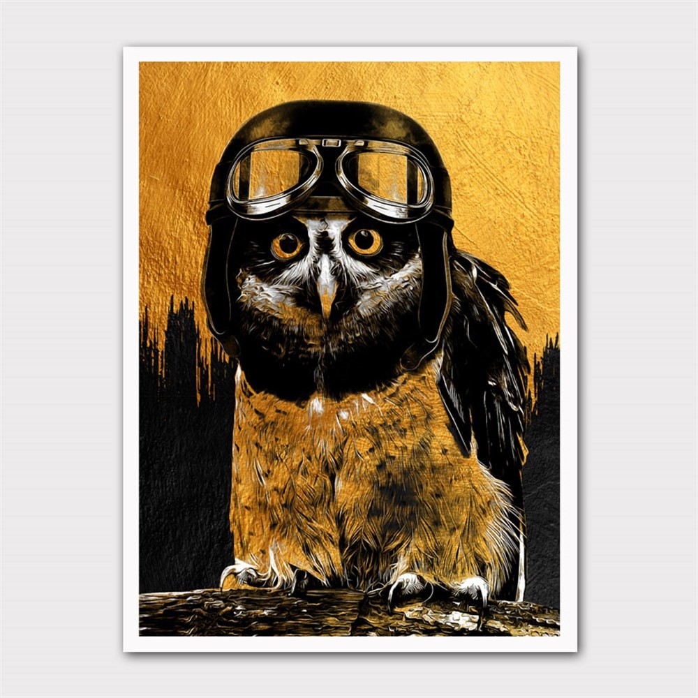 Pilot Şapkalı Baykuş Kanvas Tablo