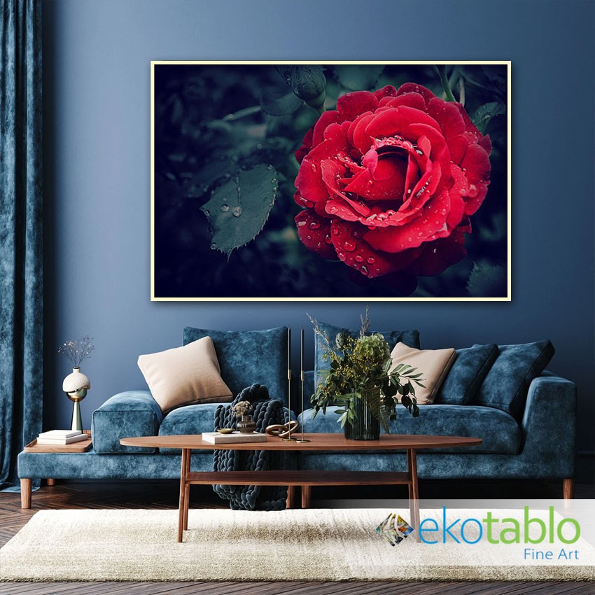 Kırmızı Gül Kanvas Tablo image