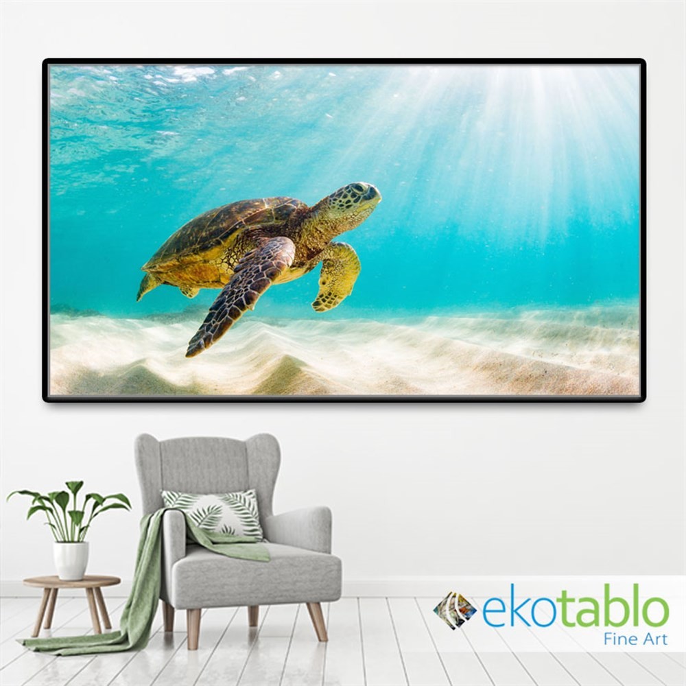 Su Altındaki Deniz Kaplumbağası Kanvas Tablo main variant image