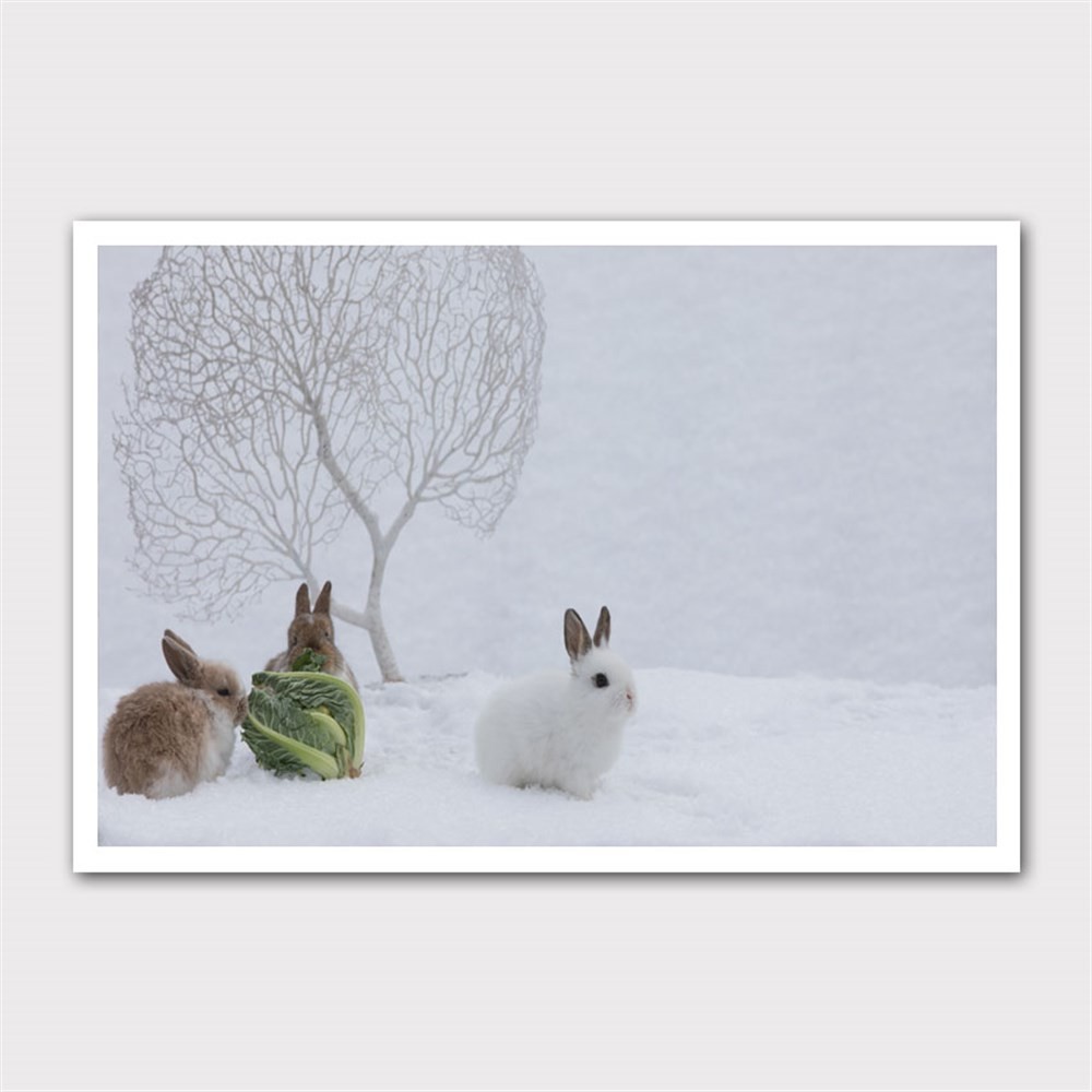 Kardaki Tavşan Yavruları Kanvas Tablo