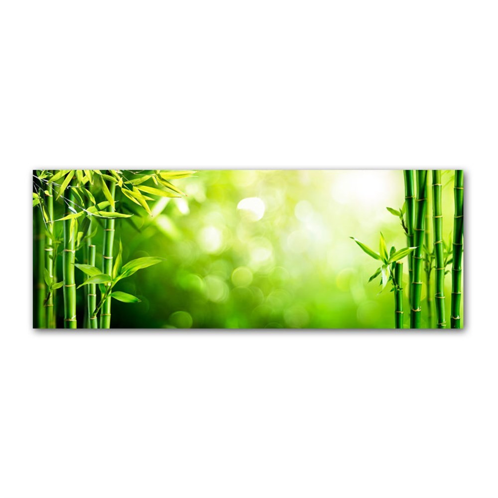 Bambu Yaprak ve Işık Kanvas Tablo