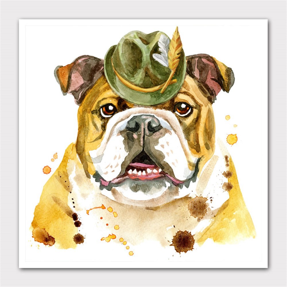 Şapkalı Bulldog Suluboya Kanvas Tablo