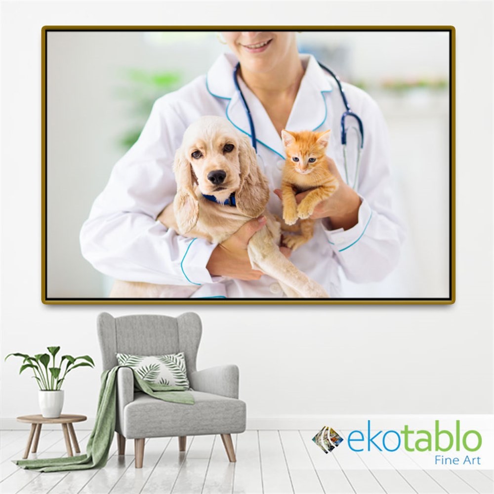 Veterinerdeki Kedi Köpek Kanvas Tablo main variant image