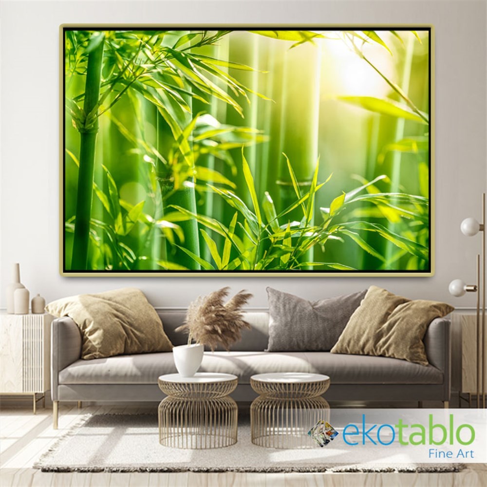 Bambu Ağaçları ve Güneş Kanvas Tablo