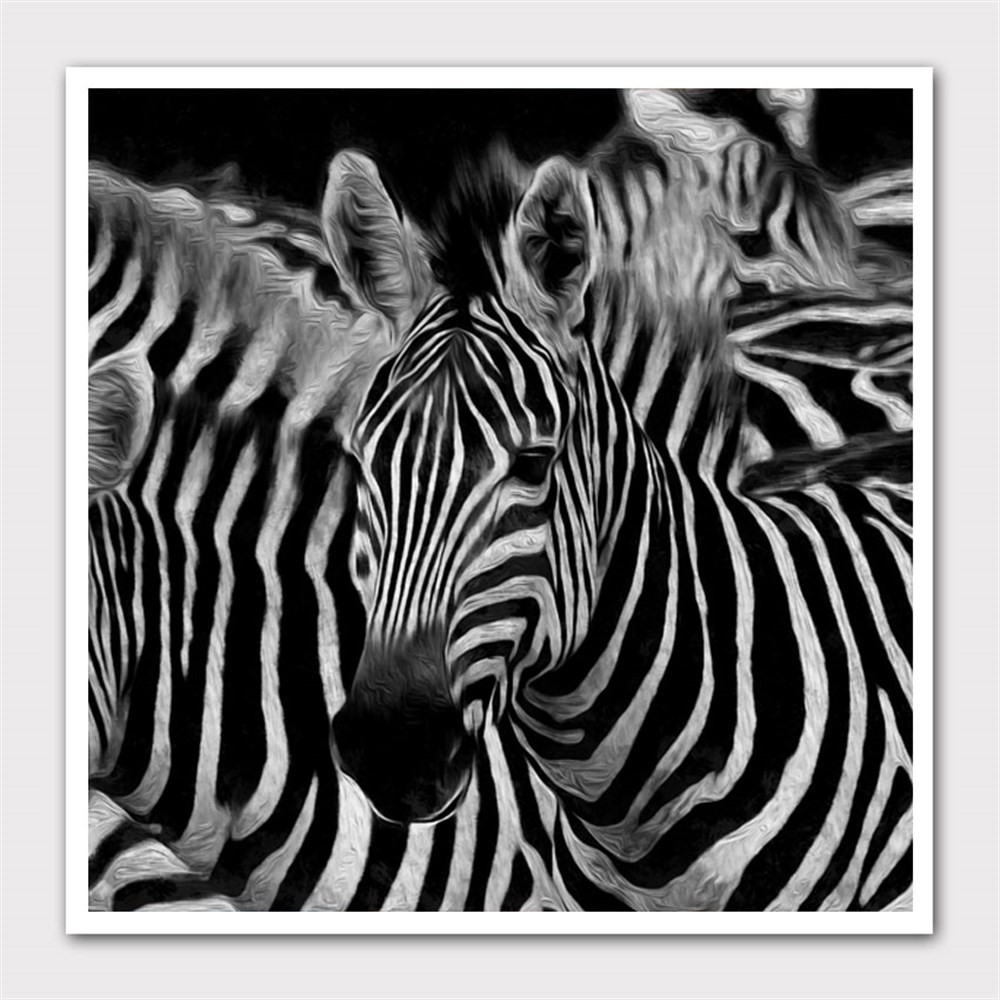 Sürünün İçinden Bir Zebra Kanvas Tablo