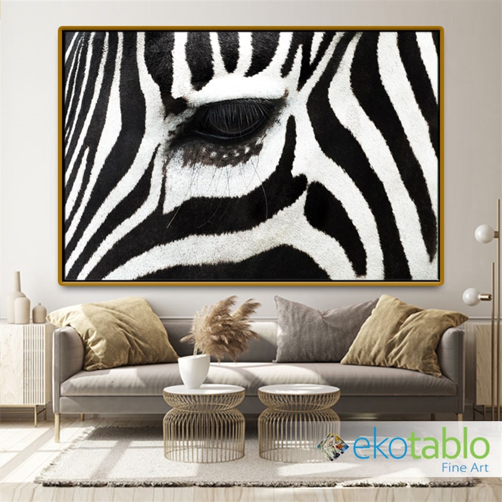 Yakın Çekim Zebra Gözü Kanvas Tablo