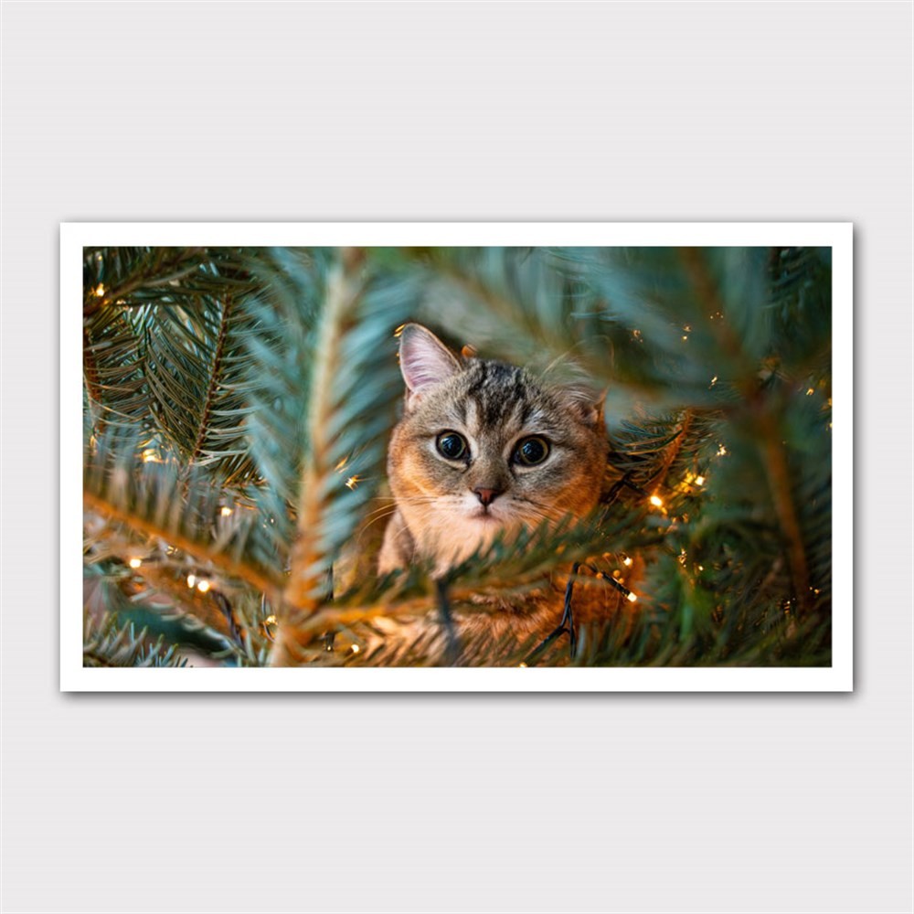 Yılbaşı Ağacına Saklanan Kedi Kanvas Tablo