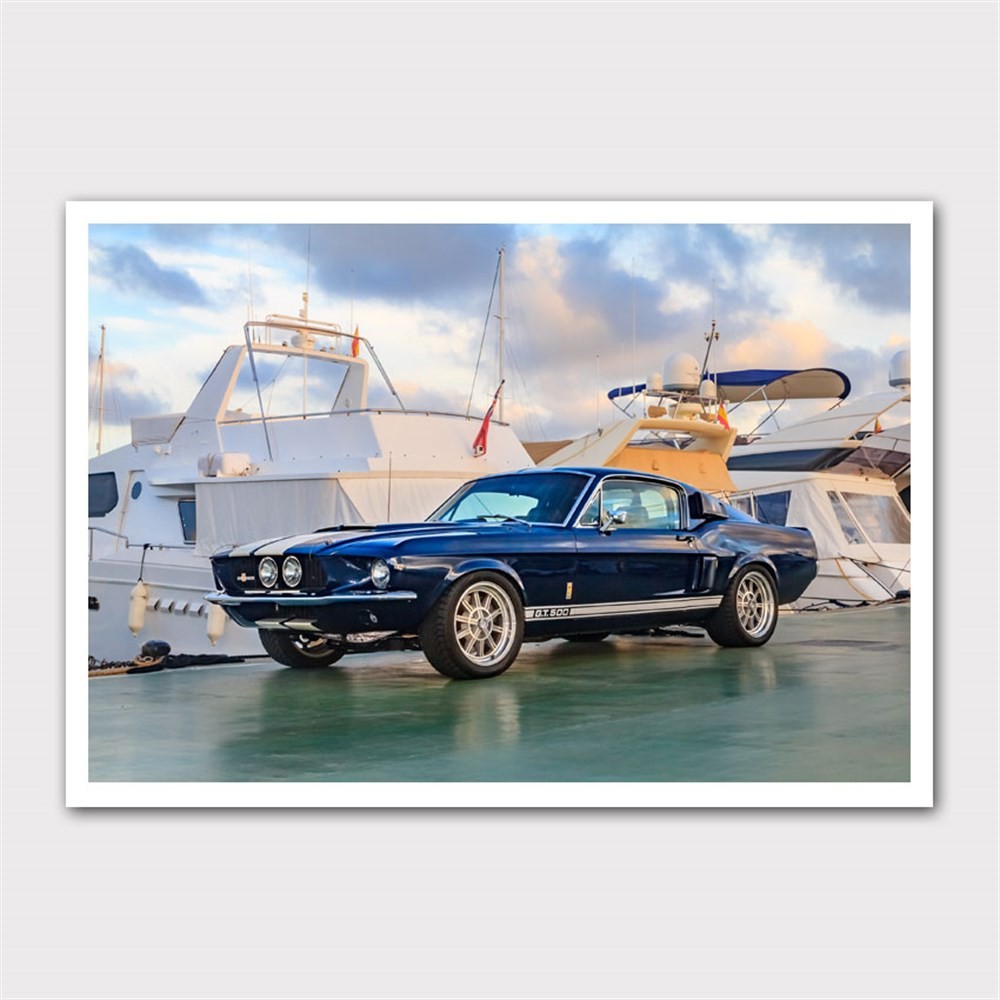 Mavi Mustang Marina Kanvas Tablo