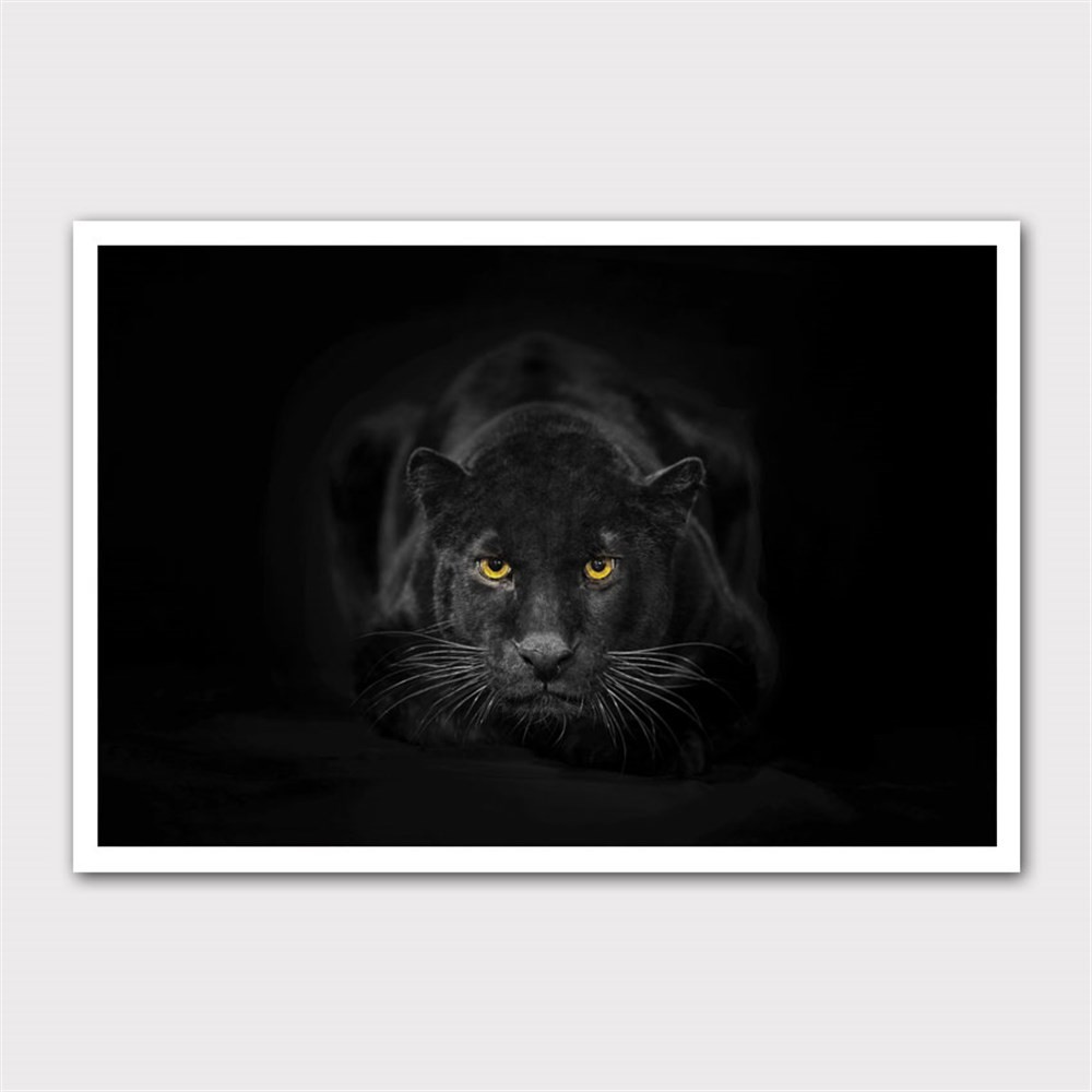 Siyah Fonlu Jaguar Kanvas Tablo