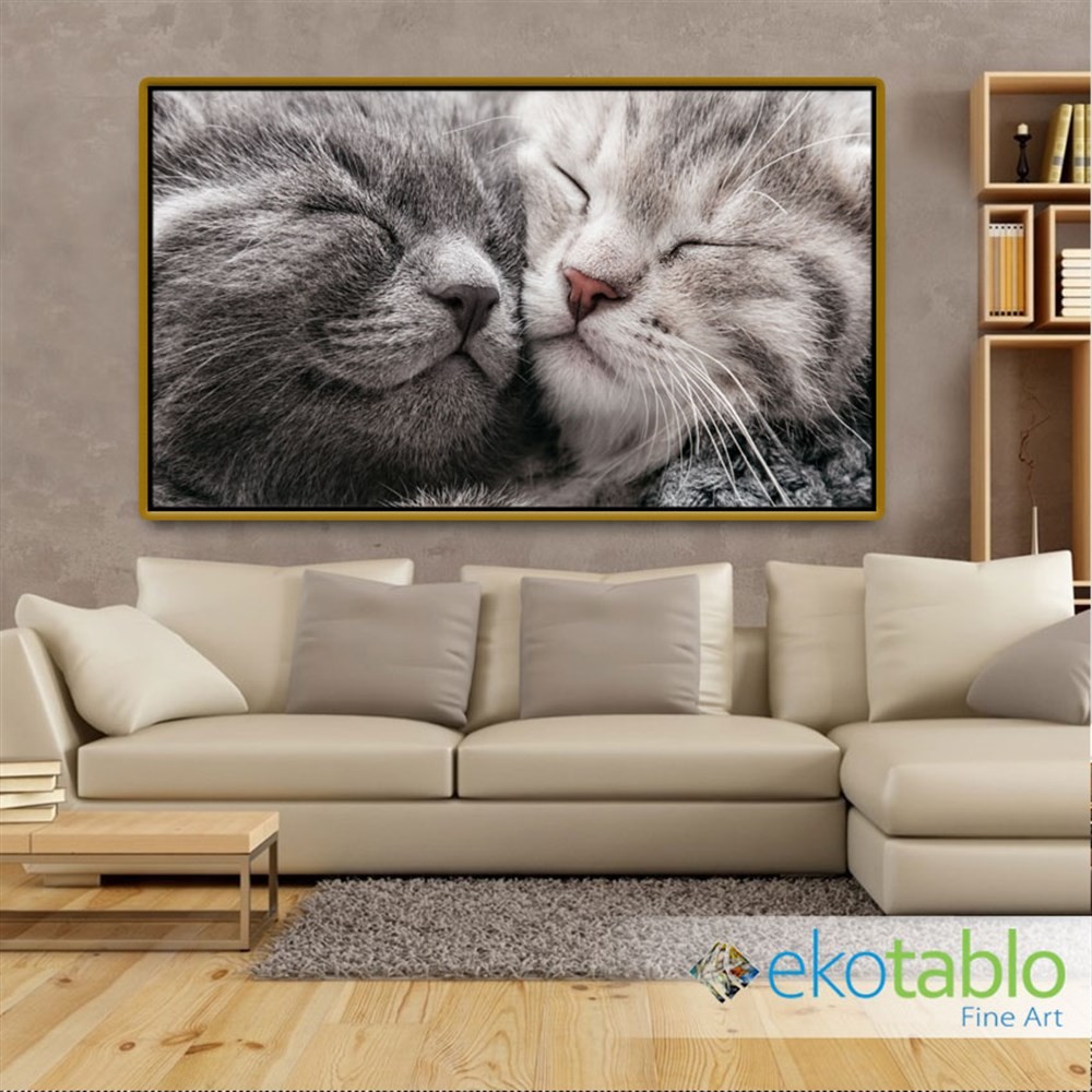 Sarılarak Uyuyan Kediler Kanvas Tablo main variant image