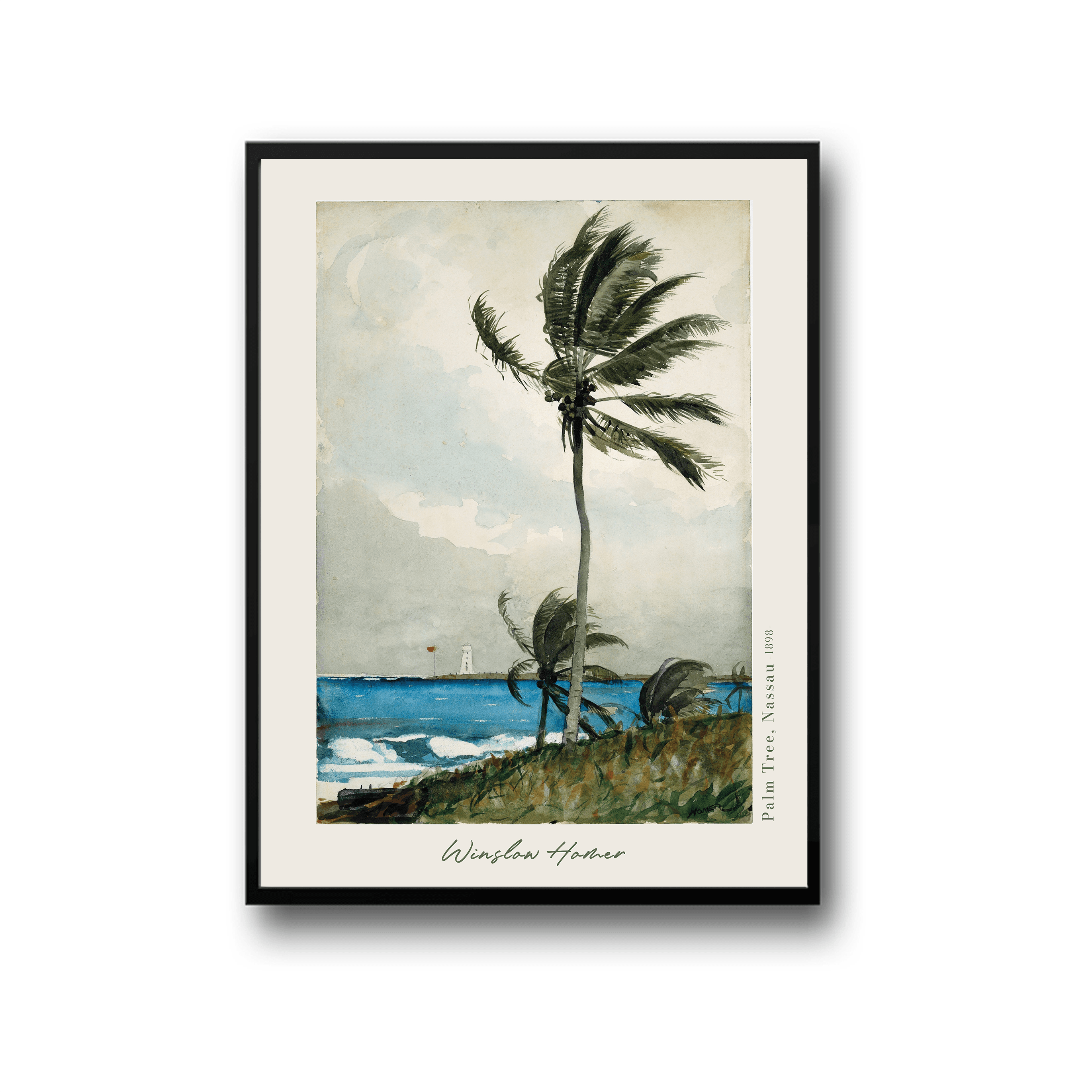 Winslow Homer - Palm Tree, Nassau