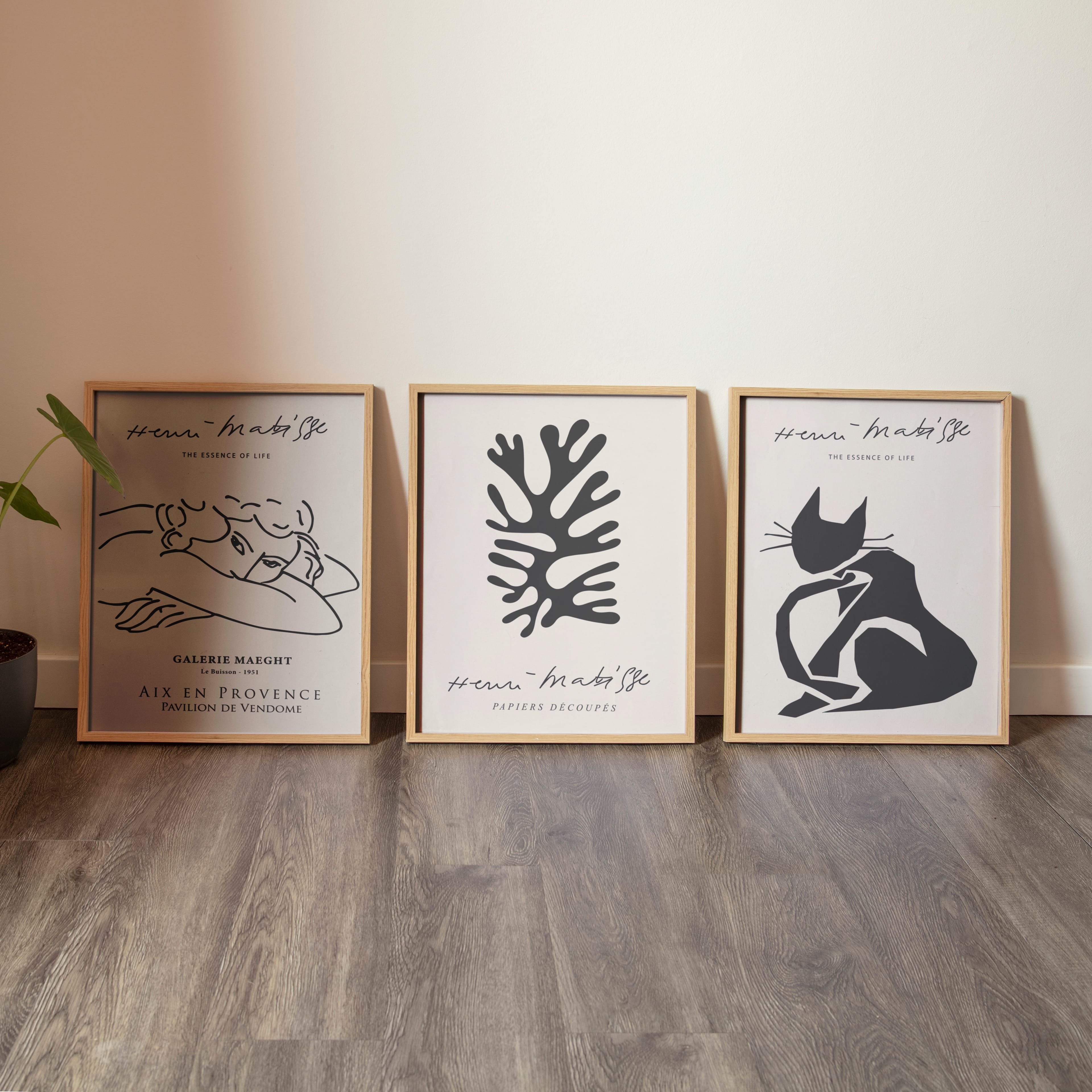 Matisse 3'lü Set