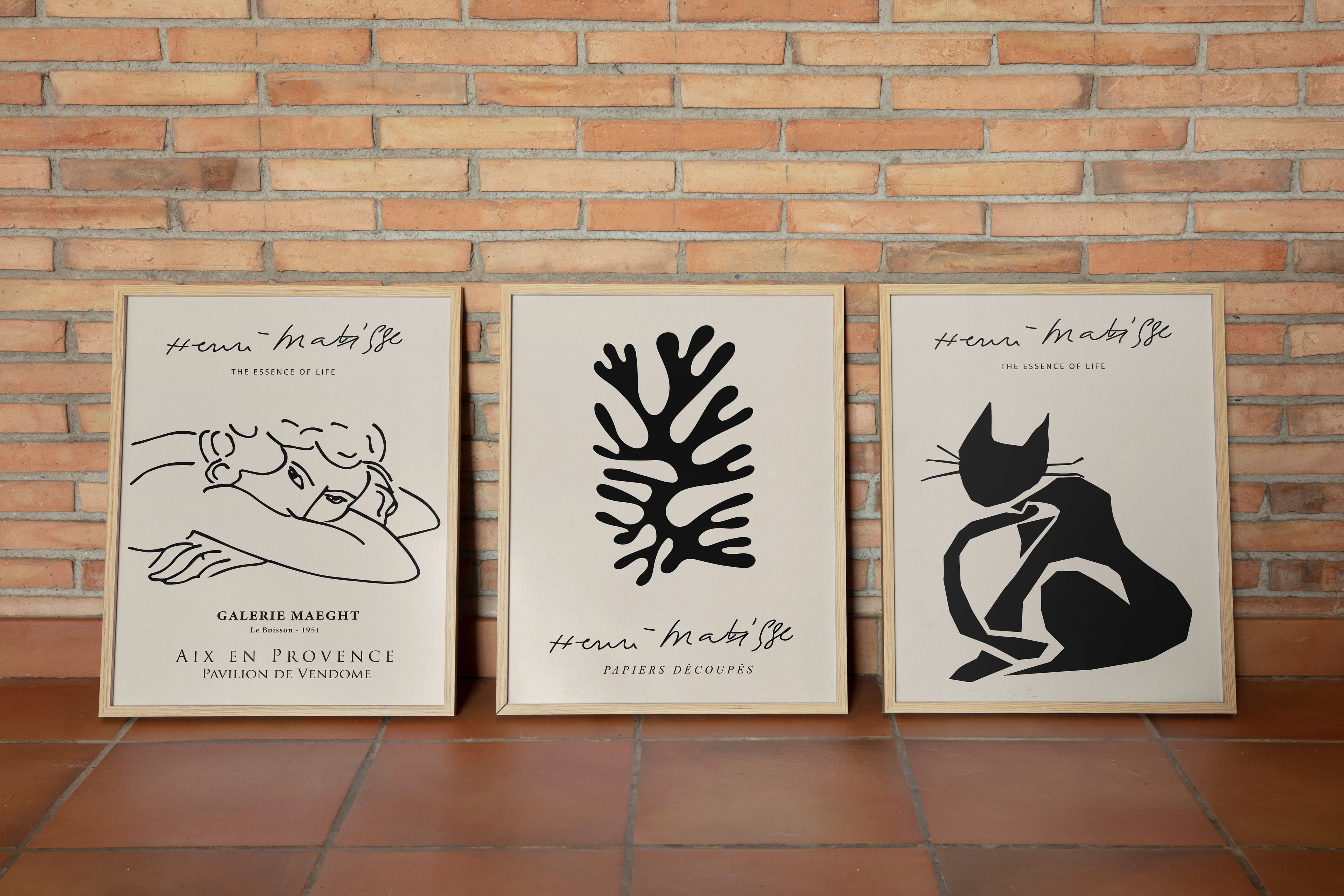 Matisse 3'lü Set
