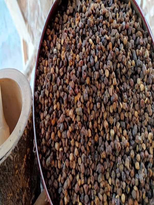 Doğal Arı Ekmeği (Perga) 