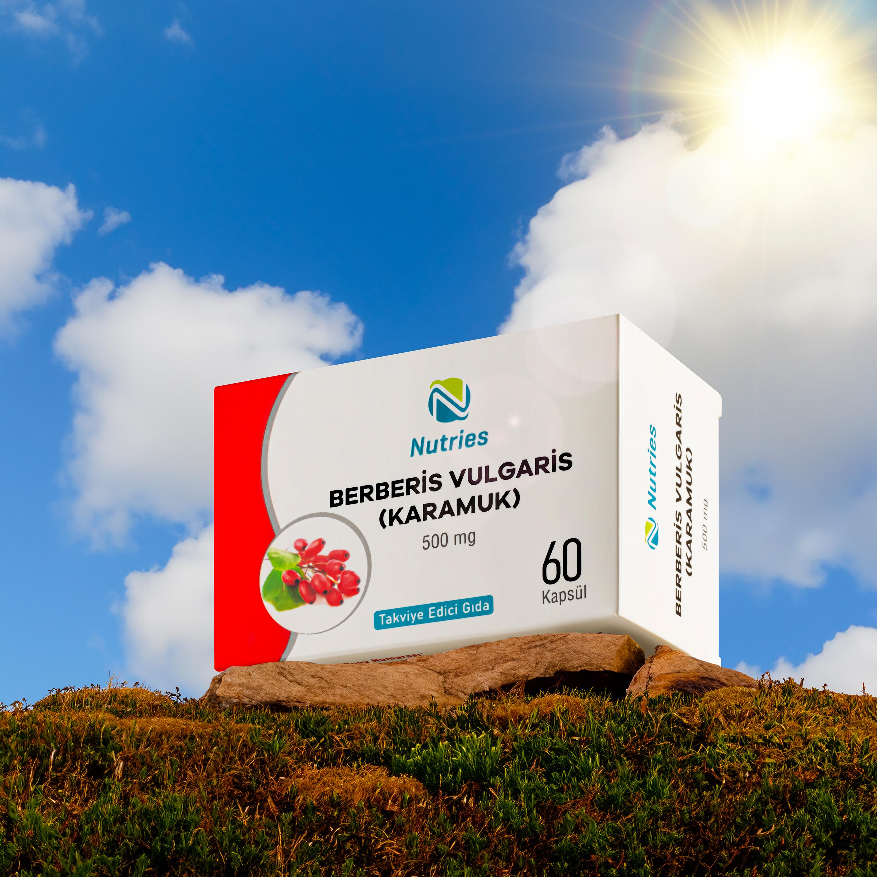 Nutries Berberis Vulgaris (Karamuk) 500 mg 60 Kapsül