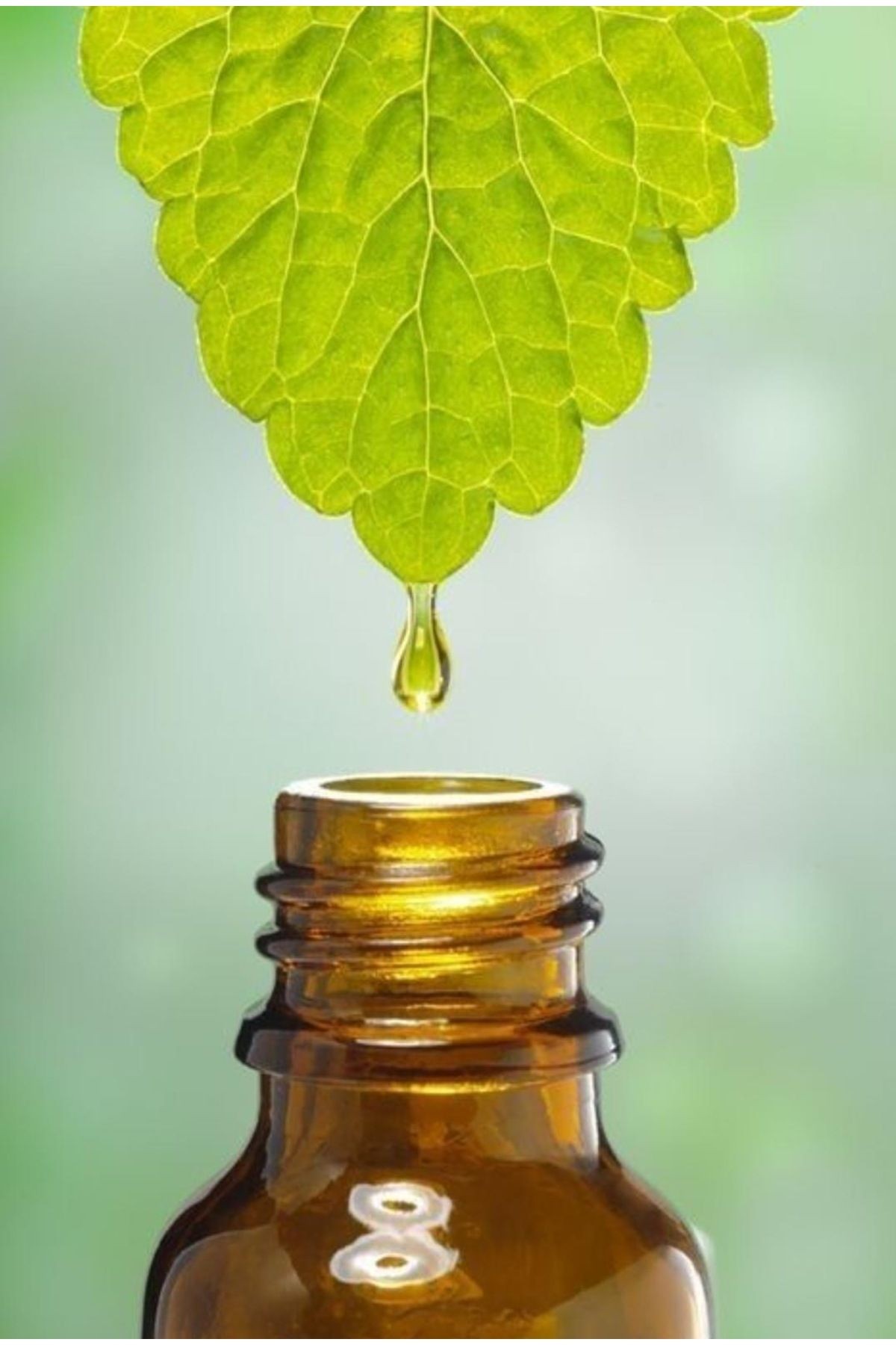 %100 Doğal Nioli Yağı – 20 ml